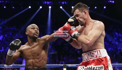 28岁执掌职业队帅印，中国斯波的WCBA起点引发篮球界关注