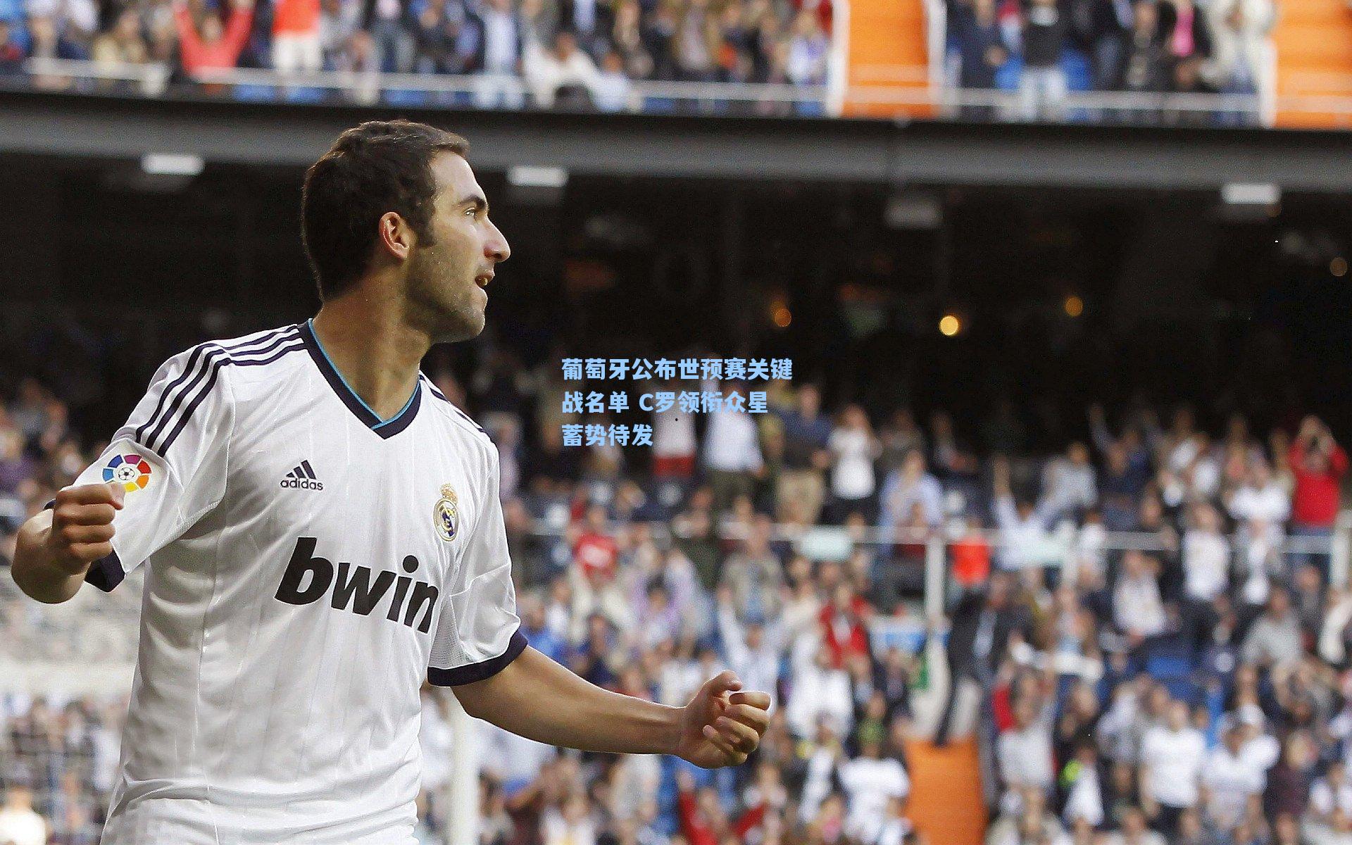 葡萄牙公布世预赛关键战名单 C罗领衔众星蓄势待发